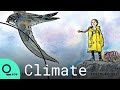 Greta Thunberg: Sweden to Issue Stamp Featuring Climate Activist