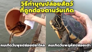 วิธีทำบุญปล่อยสัตว์ที่ถูกต้องตามวันเกิด