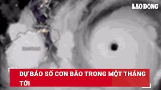 Dự báo số cơn bão trong một tháng tới | Báo Lao Động