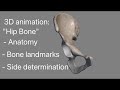 Hip bone 3d anatomy, Side determination, Osteology, external feature, landmarks, demonstration.