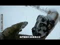 野狼再次侵擾牧區，牧民果斷縱犬出擊，，牧羊犬長途奔襲獵殺野狼 野生動物 野狼 牧羊犬 羊群 wildlife wildwolf sheepdog sheep