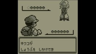 四天王キクコ戦【ポケモン赤】#19