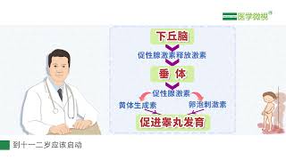 男孩青春期发育延迟的原因是什么？