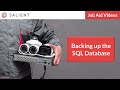 Backing up the SQL Database
