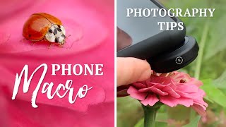 Tips for Great Mobile Phone MACRO Photography | Moment Lens & Olloclip Lenses