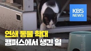 연쇄 동물 학대에 경고문까지…범인은? / KBS뉴스(News)