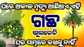 Vastu Shastra ଯଦି ଘର ସାମ୍ନରେ ଏହି ଗଚ୍ଛ ଥାଏ ତାହେଲେ ଶୀଘ୍ର ବାହର କରିଦିଅନ୍ତୁ \