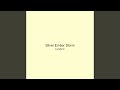 Silver Ember Storm