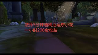 魔兽世界怀旧服：法师5分钟速刷厄运东小花，一小时200金收益