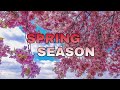 SPRING - SEASON IN GERMANY | GREYS_TV