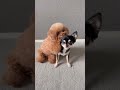 この音源を聴くと、、、 cutedog