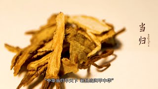 舌尖上的美味|岷县药王传  岷县当归. 中国甘肃