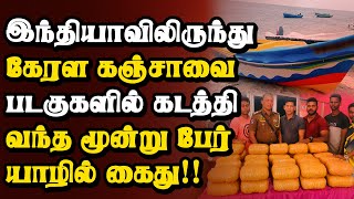 இந்தியாவிலிருந்து கேரள கஞ்சாவை கடத்தி வந்த 3 பேர் யாழில் கைது! | Thedipaar News