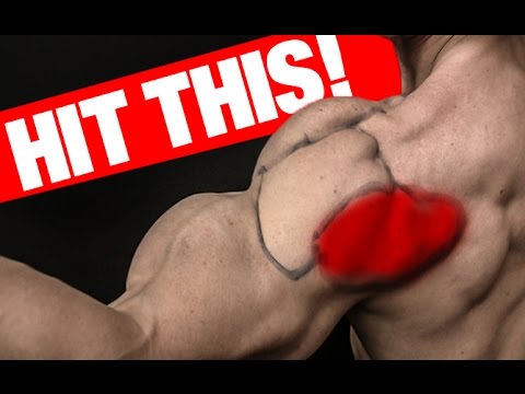 Rear Deltoid Workout (MASS AND STRENGTH!) Rear Deltoid Workout (MASS AND STRENGTH!)