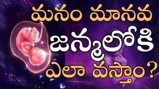 మనం మానవ జన్మలోకి ఎలా వస్తాం?|How do we get into human birth?|oneness wisdom|