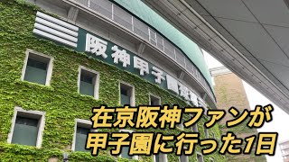 【vlog】都内在住の阪神ファンが甲子園に行く1日(グリーン上段セレクトチケット)