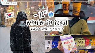 ❄韓国ソウル大雪の日⛄日常VLOG / マイナスの世界 / 出勤して昼休みにカフェ、韓国のコンビニ【韓国生活】 폭설! 한국에서 일하는 일본인 브이로그 / 평범한 일상