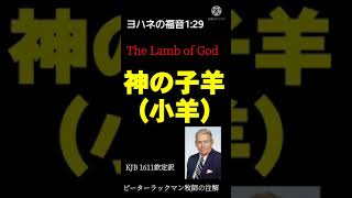 【ヨハネの福音】ヨハネ1:29、神の子羊(小羊)🐑、イエス・キリストのいけにえ、