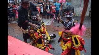 Jaranan Buto Kecil Banyuwangi 2018 Lucu Hujan Tetap Semangat,Mliwis Putih Cemetuk