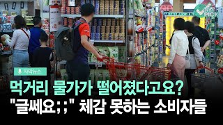 [자막뉴스] 먹거리물가 둔화체감 '글쎄'… 가공식품 두배