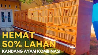 Bisa dipastikan Hemat separuh lahan jika kita membuat kandang ayam bangkok seperti ini