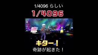 1/4096 ［ポケモンSV］