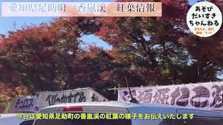 紅葉速報　2021年　11月14日愛知県豊田市足助町　香嵐渓のもみじを見ました