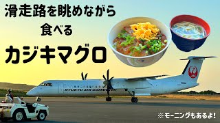 与那国空港レストラン旅果報(たびがふう)