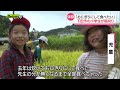 小学生が稲刈り体験「おにぎりを作って食べたい！」（静岡県下田市）