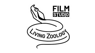 Living Zoology film studio by Matej Dolinay and Zuzana Dolinay