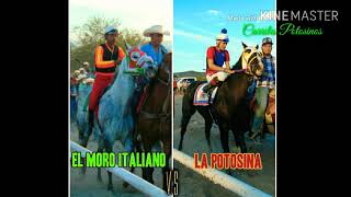 LA POTOSINA ( Cuadra:     vs EL MORO ITALIANO