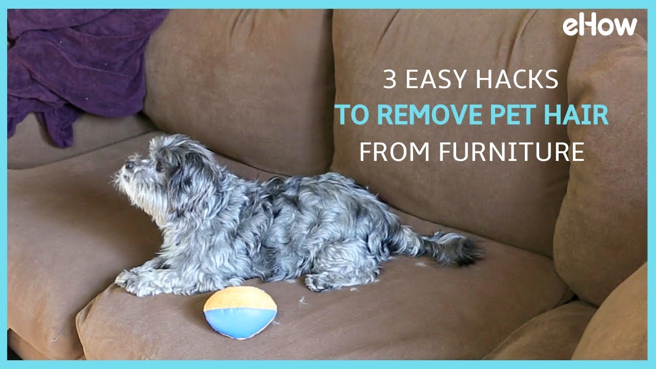 3 Easy Hacks To Remove Pet Hair From Furniture | DIY IRL - YouTube