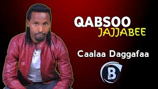 Qabsoo Jajjabbee l Caalaa Daggagaa l New Ethiopian Oromo music 2024 #Bilillee #Andualem_gosa #Vision