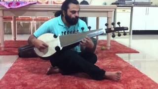 Sarod no. 174 by BINA Musical Stores