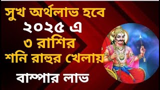 সুখ অর্থলাভ হবে ৩ রাশির, ২০২৫ এ শনি রাহুর খেলায় বাম্পার লাভ