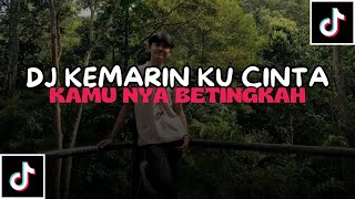 DJ HITAM MEMANG KULIT KU X KEMARIN KU CINTA KAMU NYA BERTINGKAH | DJ TIKTOK VIRAL YANG KALIAN CARI!!