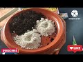 கொக்கோப்பீட்டில் செடி வளர்ப்பது எப்படி tamil how to grow a plant in cocopeat