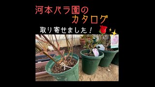 河本バラ園からカタログをお取り寄せしました！