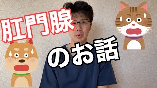 犬猫の肛門腺のお話【小動物獣医師のお話 Vol.9】