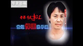 《老梁故事汇》香港贼王张子强和李嘉诚的较量