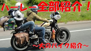 大のハーレー紹介 ガレージハウス【セトウチベース】