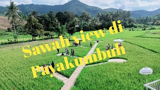 Payo lansek-Wisata viral di Payakumbuh