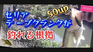 【バス釣り50Upランカー】【セリアディープクランク】Evidence of the expectation that Seria's crankbait can be caught/100均ルアー