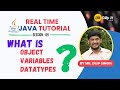 JAVA Tutorial | Session 09 |  Overview of Object | Variables & Datatypes | Primitive Datatypes