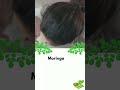 How To DOUBLE Hair Growth with Moringa | Incredible Moringa Benefits For Hair #shorts