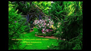 The Gardens at Oak Lawn Cheese Factory: Past Seasons Remembered #13    July 2020