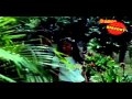 Poonkaatte poyi | Malayalam Movie Songs | Shyaama (1986)