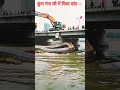 giant snake discovered in the ganges sorts कुंभ viralvideo viral kumbh mela