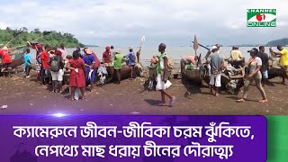 ক্যামেরুনে জীবন-জীবিকা চরম ঝুঁকিতে, নেপথ্যে মাছ ধরায় চীনের দৌরাত্ম্য | Channel i News