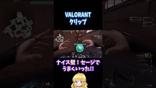 セージの壁の強みはこれだ！！【VALORANTクリップ】#shorts #valorant #配信切り抜き#セージ